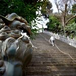 神社本庁の持つ役割