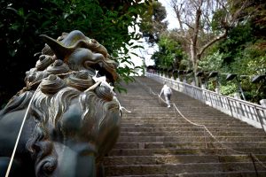 神社本庁の持つ役割